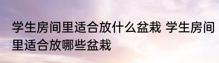 学生房间里适合放什么盆栽 学生房间里适合放哪些盆栽