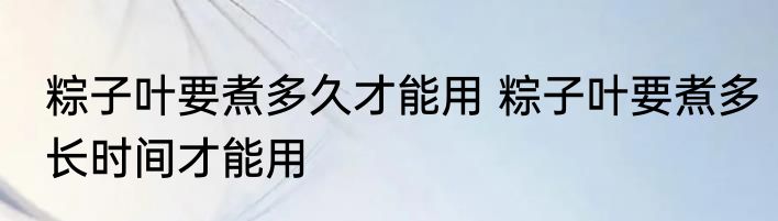 粽子叶要煮多久才能用 粽子叶要煮多长时间才能用
