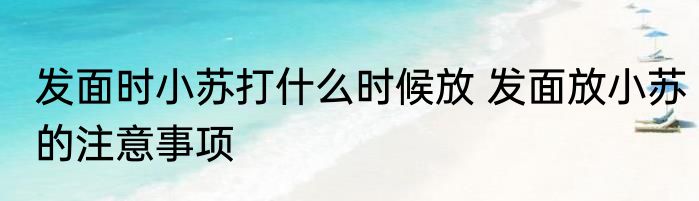 发面时小苏打什么时候放 发面放小苏的注意事项