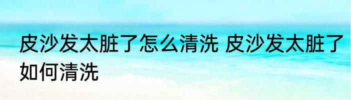 皮沙发太脏了怎么清洗 皮沙发太脏了如何清洗