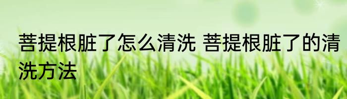 菩提根脏了怎么清洗 菩提根脏了的清洗方法