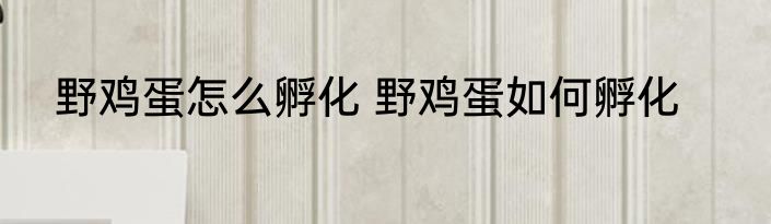 野鸡蛋怎么孵化 野鸡蛋如何孵化