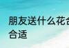 朋友送什么花合适 朋友之间送什么花合适