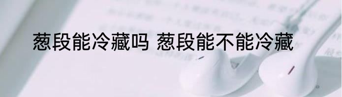 葱段能冷藏吗 葱段能不能冷藏