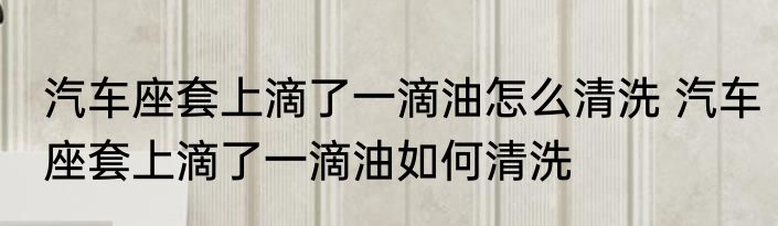 汽车座套上滴了一滴油怎么清洗 汽车座套上滴了一滴油如何清洗