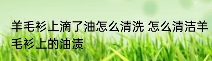 羊毛衫上滴了油怎么清洗 怎么清洁羊毛衫上的油渍
