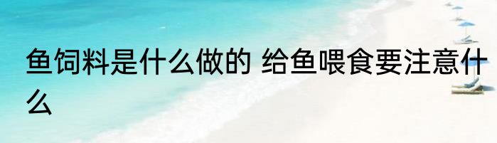 鱼饲料是什么做的 给鱼喂食要注意什么