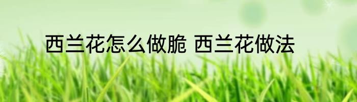 西兰花怎么做脆 西兰花做法