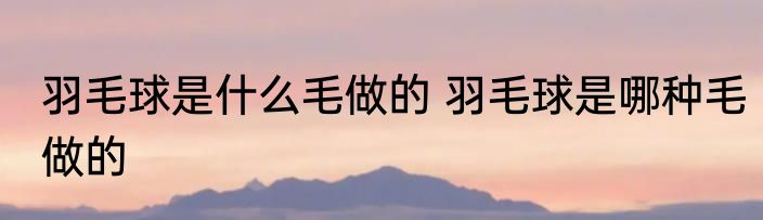 羽毛球是什么毛做的 羽毛球是哪种毛做的