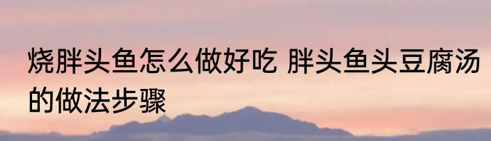 烧胖头鱼怎么做好吃 胖头鱼头豆腐汤的做法步骤