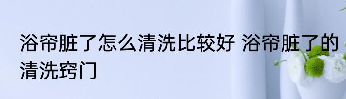浴帘脏了怎么清洗比较好 浴帘脏了的清洗窍门