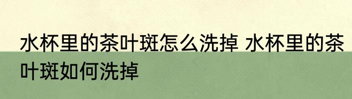 水杯里的茶叶斑怎么洗掉 水杯里的茶叶斑如何洗掉