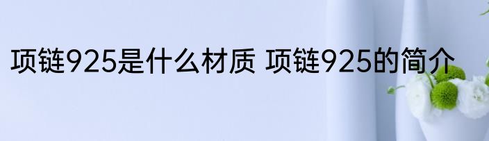 项链925是什么材质 项链925的简介