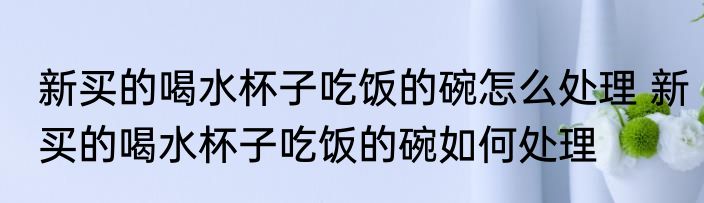 新买的喝水杯子吃饭的碗怎么处理 新买的喝水杯子吃饭的碗如何处理