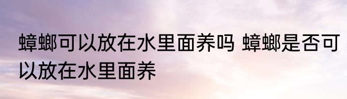 蟑螂可以放在水里面养吗 蟑螂是否可以放在水里面养