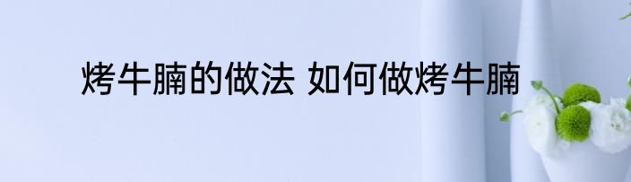 烤牛腩的做法 如何做烤牛腩