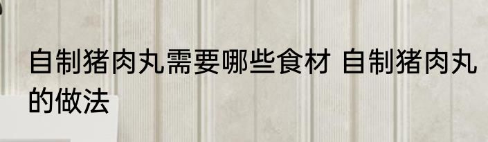 自制猪肉丸需要哪些食材 自制猪肉丸的做法