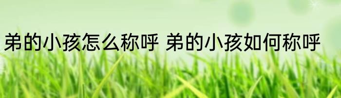 弟的小孩怎么称呼 弟的小孩如何称呼