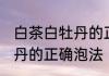 白茶白牡丹的正确冲泡方法 白茶白牡丹的正确泡法