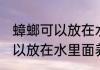 蟑螂可以放在水里面养吗 蟑螂是否可以放在水里面养