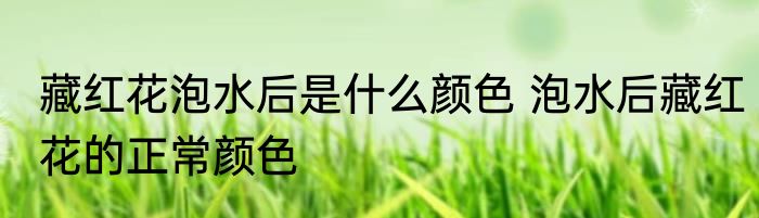 藏红花泡水后是什么颜色 泡水后藏红花的正常颜色