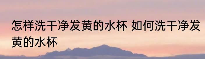 怎样洗干净发黄的水杯 如何洗干净发黄的水杯