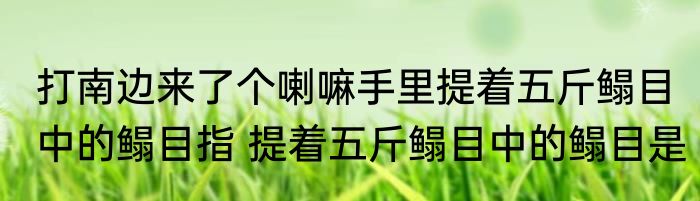 打南边来了个喇嘛手里提着五斤鳎目中的鳎目指 提着五斤鳎目中的鳎目是