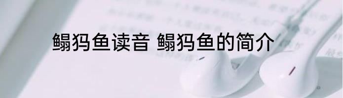 鳎犸鱼读音 鳎犸鱼的简介