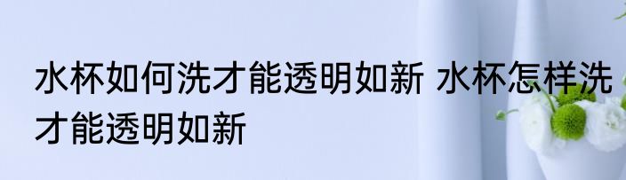 水杯如何洗才能透明如新 水杯怎样洗才能透明如新