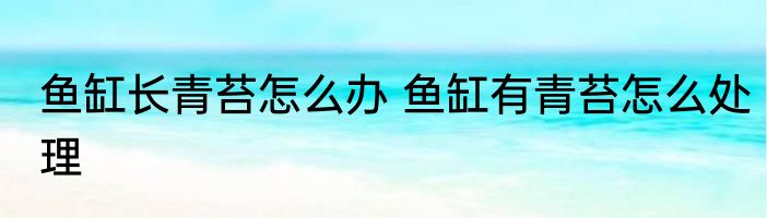鱼缸长青苔怎么办 鱼缸有青苔怎么处理