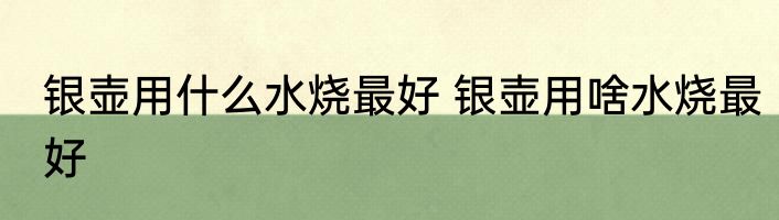 银壶用什么水烧最好 银壶用啥水烧最好