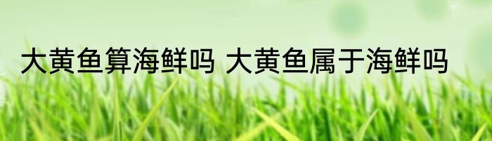 大黄鱼算海鲜吗 大黄鱼属于海鲜吗