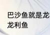 巴沙鱼就是龙利鱼吗 巴沙鱼是否就是龙利鱼