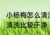 小杨梅怎么清洗比较干净 小杨梅如何清洗比较干净