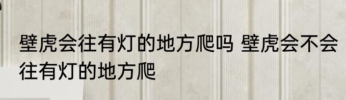 壁虎会往有灯的地方爬吗 壁虎会不会往有灯的地方爬