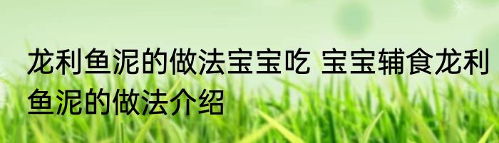 龙利鱼泥的做法宝宝吃 宝宝辅食龙利鱼泥的做法介绍