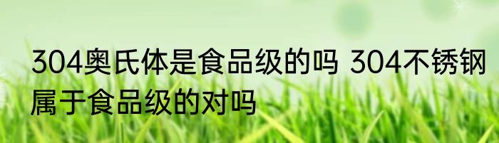 304奥氏体是食品级的吗 304不锈钢属于食品级的对吗
