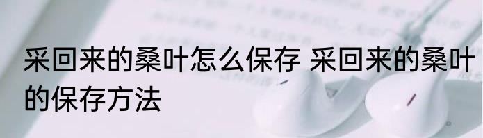 采回来的桑叶怎么保存 采回来的桑叶的保存方法