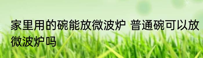 家里用的碗能放微波炉 普通碗可以放微波炉吗