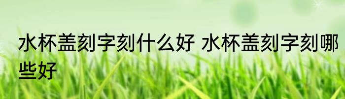 水杯盖刻字刻什么好 水杯盖刻字刻哪些好