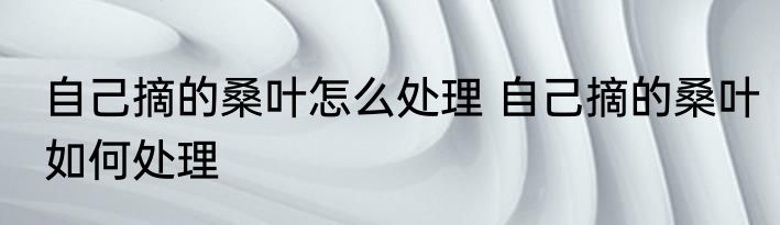 自己摘的桑叶怎么处理 自己摘的桑叶如何处理