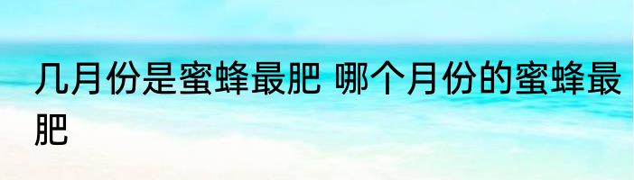 几月份是蜜蜂最肥 哪个月份的蜜蜂最肥