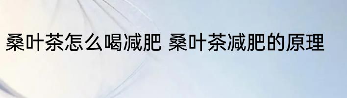 桑叶茶怎么喝减肥 桑叶茶减肥的原理