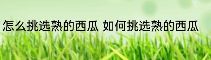 怎么挑选熟的西瓜 如何挑选熟的西瓜