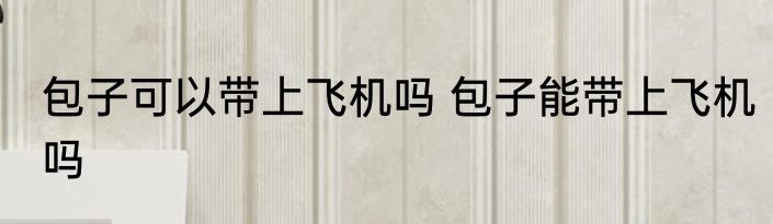包子可以带上飞机吗 包子能带上飞机吗