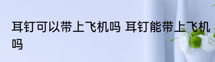 耳钉可以带上飞机吗 耳钉能带上飞机吗