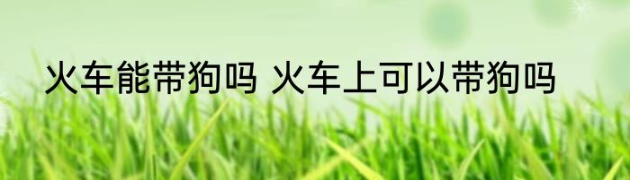 火车能带狗吗 火车上可以带狗吗