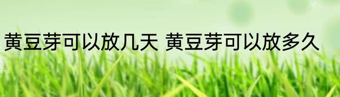 黄豆芽可以放几天 黄豆芽可以放多久