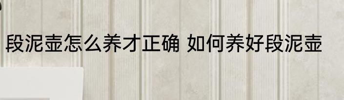 段泥壶怎么养才正确 如何养好段泥壶