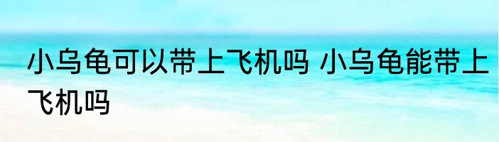 小乌龟可以带上飞机吗 小乌龟能带上飞机吗